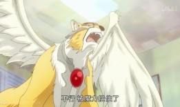 鬼叔爆料小樱视频,小樱视频背后的惊人真相